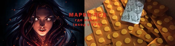 PSILOCYBIN Белоозёрский