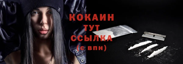 соль ск Белокуриха