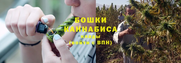 PSILOCYBIN Белоозёрский