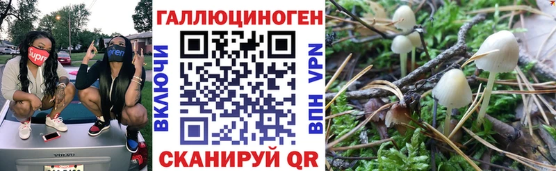 Купить закладки  Мыски  Галлюциногенные грибы Cubensis 